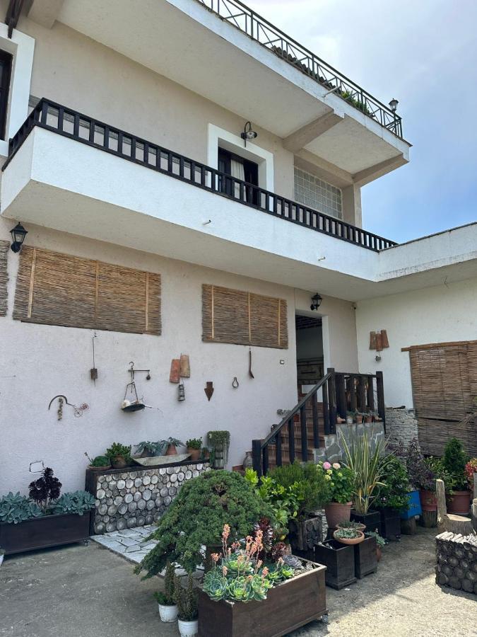 Bed & Breakfast Local Living Edi Berat Exterior foto